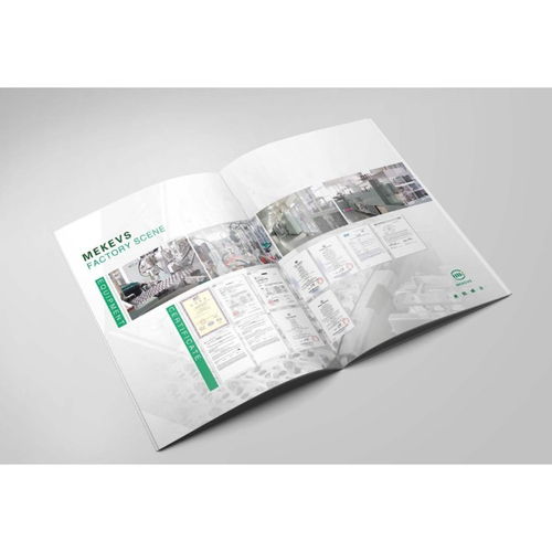 【內(nèi)江畫冊定制印刷】- 