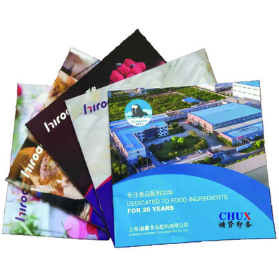 企業(yè)畫冊印刷宣傳冊企業(yè)折頁樣本印刷定制